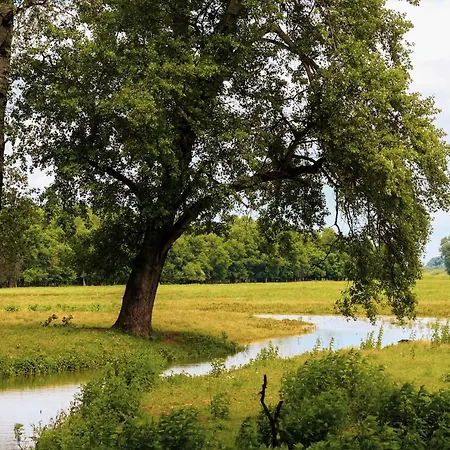 Zmaj Ognjeni Etno Concept
