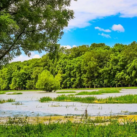 Zmaj Ognjeni Etno Concept