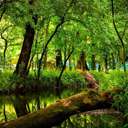 Apartament Zmaj Ognjeni Etno Concept *