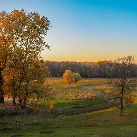 Zmaj Ognjeni Etno Concept