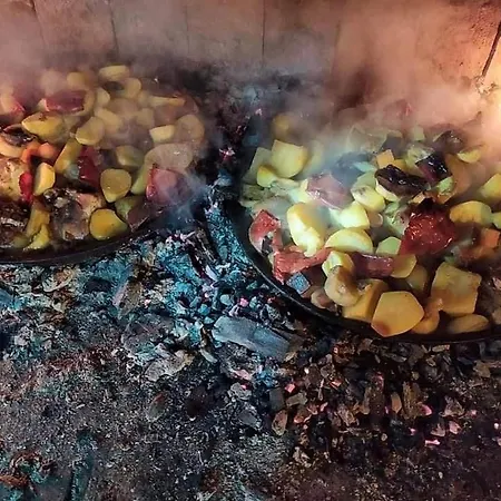 Zmaj Ognjeni Etno Concept *