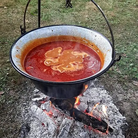 Apartament Zmaj Ognjeni Etno Concept