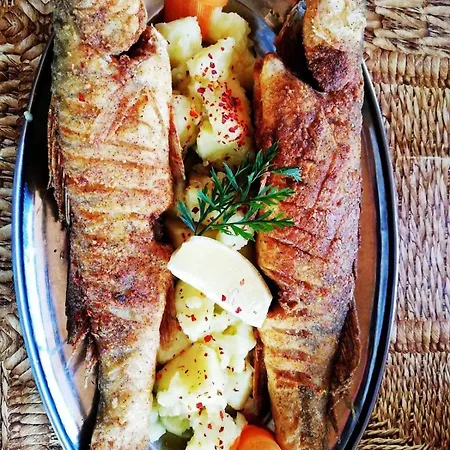 Zmaj Ognjeni Etno Concept *