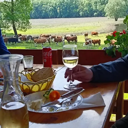 Zmaj Ognjeni Etno Concept Apartman Kupinovo