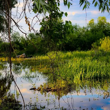 Apartman Zmaj Ognjeni Etno Concept