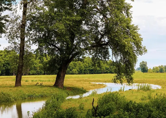 Zmaj Ognjeni Etno Concept