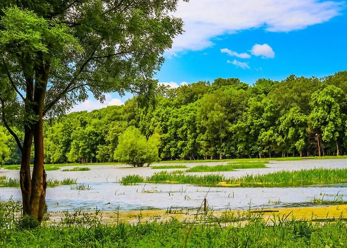 Zmaj Ognjeni Etno Concept