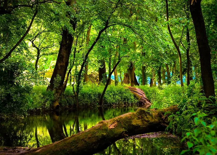 Apartament Zmaj Ognjeni Etno Concept *