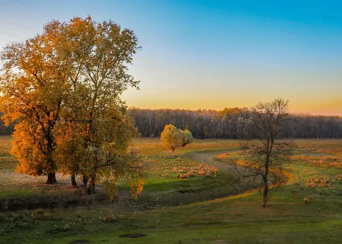 Zmaj Ognjeni Etno Concept