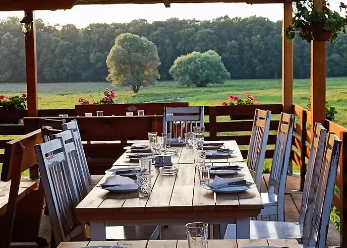 Zmaj Ognjeni Etno Concept Apartament Kupinovo