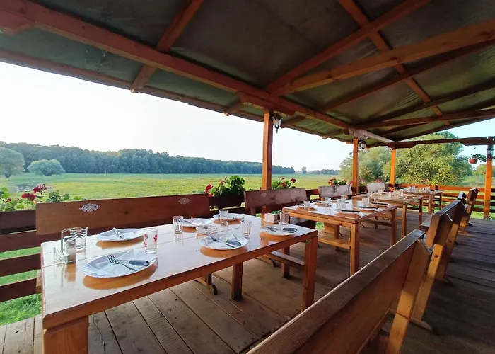 Apartament Zmaj Ognjeni Etno Concept Kupinovo