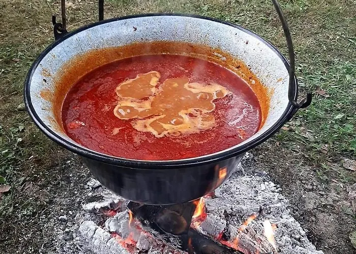 Apartament Zmaj Ognjeni Etno Concept