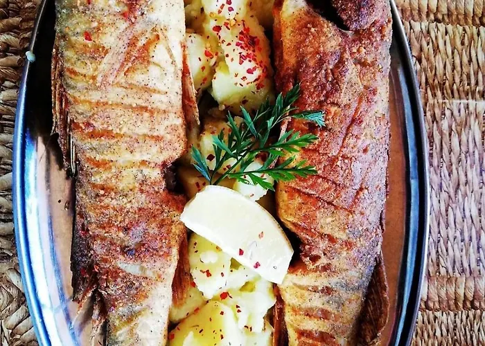 Zmaj Ognjeni Etno Concept *