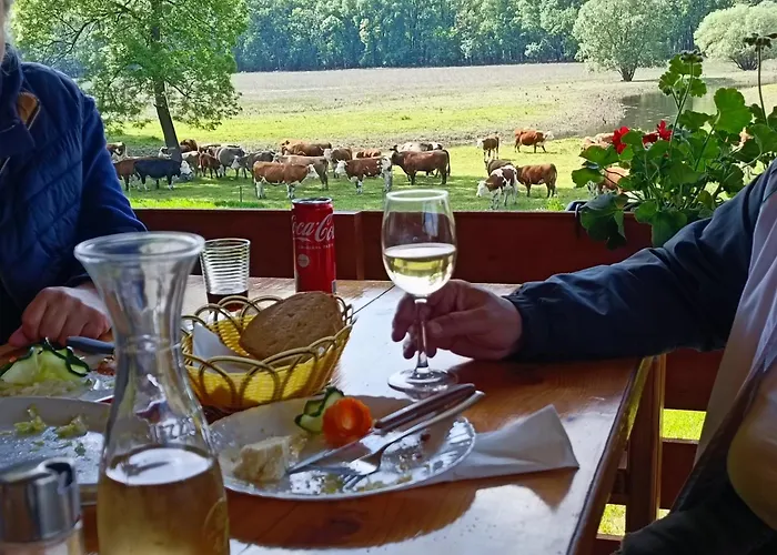 Zmaj Ognjeni Etno Concept Apartament Kupinovo